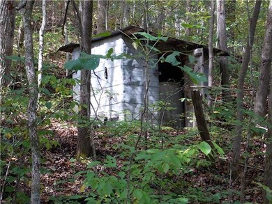 140 Caney Hollow Rd, Linden, TN 37096 - photo 5