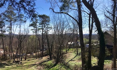 443 Fairview Rd, Asheville, NC 28803 - photo 4