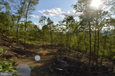 0 Deep Spring Rd unit WVGT102864, Dorcas, WV 26847 - photo 6