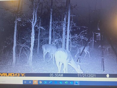 00 Cr 1316, Malakoff, TX 75148 - photo 6