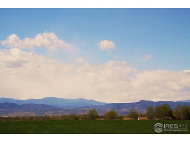 6841 Covenant Ct, Timnath, CO 80547 - photo 6