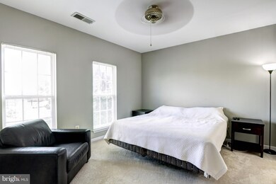 11306 Westbrook Mill Ln unit 202, Fairfax, VA 22030 - photo 6