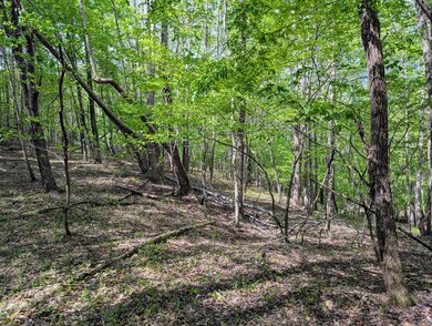 0 Trent Store Rd unit 99494, Spencer, VA 24165 - photo 7