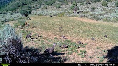 0 Tbd Highway 13 S, Meeker, CO 81641 - photo 5