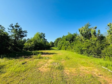 TBD Sims Thornhill Rd, Tylertown, MS 39667 - photo 5