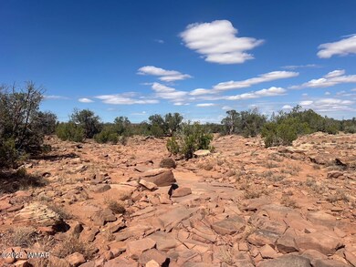 000 Old Woodruff Rd, Snowflake, AZ 85937 - photo 7
