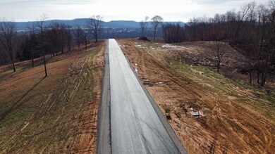 image_6483441-5