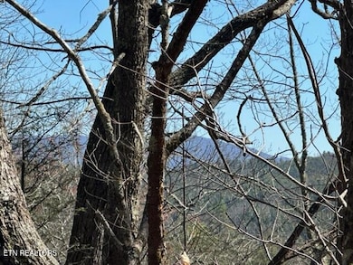 864 Stonegate Way, Townsend, TN 37882 - photo 4