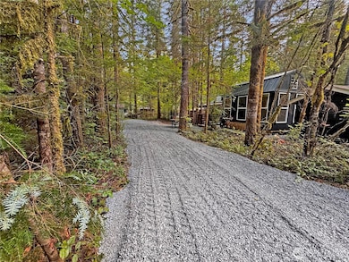 59 4 Christmas Tree Cir, Deming, WA 98244 - photo 2