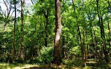 TBD Kansas Ct, Fort White, FL 32038 - photo 3