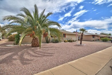 Beautiful pineapple palm in front