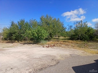 5410 Victory Ave, Edinburg, TX 78542 - photo 5