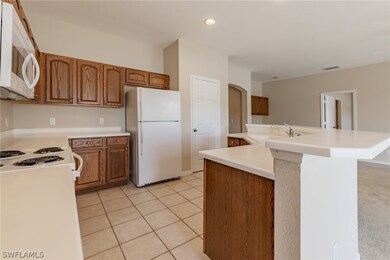 11147 River Trent Ct, Lehigh Acres, FL 33971 - photo 6