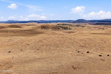 000 Tbd --, Greer, AZ 85927 - photo 7