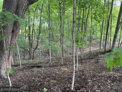 10492 Kalland Ln NE, Hanover, MN 55341 - photo 4