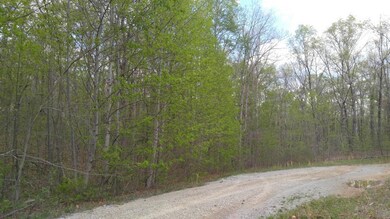 greenforest1