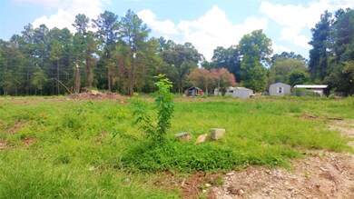 12798 Pinebrook Dr, Plantersville, TX 77363 - photo 2