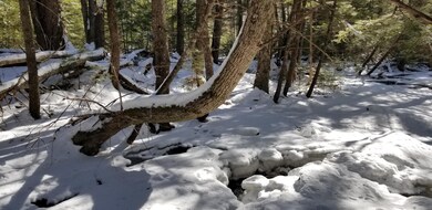 Ash over Sucker Brook_134603