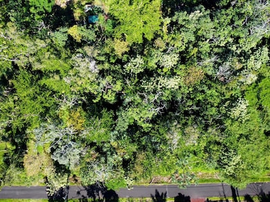 0 Oopu St unit 726165, Hawaiian Beaches, HI 96778 - photo 5