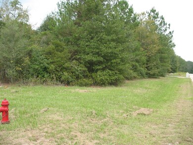 195 Sunset Dr, Lufkin, TX 75904 - photo 4