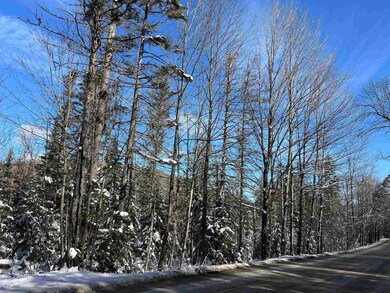0 Shadow Lake Rd unit 5070680, Glover, VT 05839 - photo 7