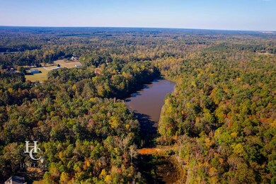 Aeronca Rd, Pelzer, SC 29669 - photo 4