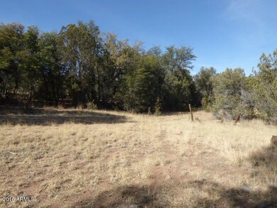 4 open meadow near Natl Forest boundary