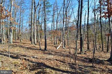 LOT 29 Comforter Ln, North River, VA 22645 - photo 3