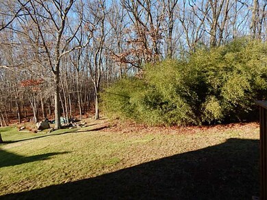 Yard/Garden.