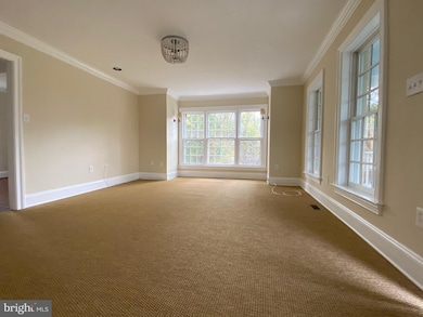 38103 Homestead Farm Ln, Middleburg, VA 20117 - photo 2