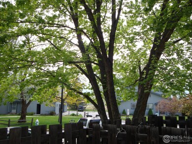 View from Patio