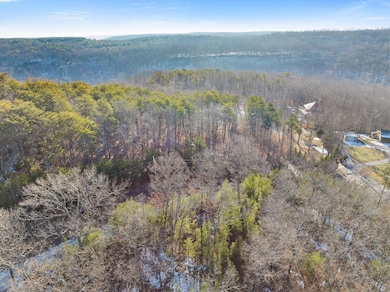 03-DJI_20250115094650_0093_D
