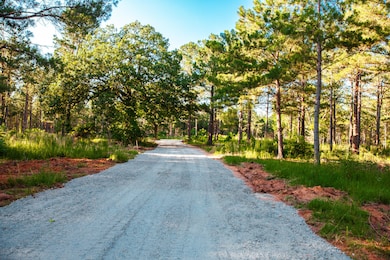 7175 Bill Dorn Rd, Appling, GA 30802 - photo 4