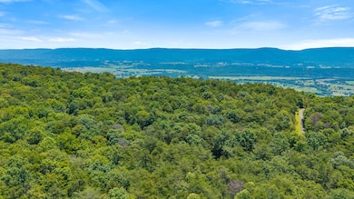 18.69 Ac Windridge Dr, Dunlap, TN 37327 - photo 7