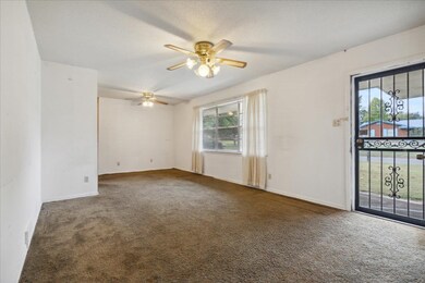 Carpeted spare room featuring ceiling fan, plenty 