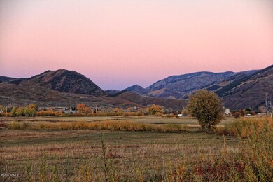 IMG_1993_small - Copy