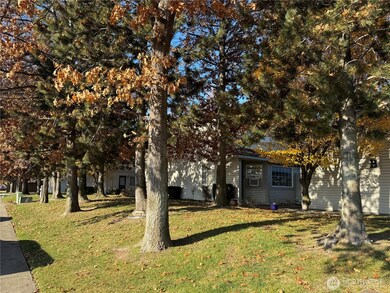 209 E 18th Ave unit E11, Ellensburg, WA 98926 - photo 4