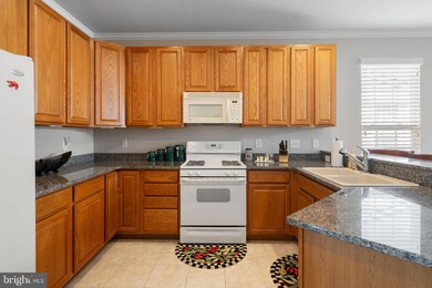 16262 John Rowland Trail, Milton, DE 19968 - photo 4