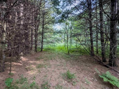 00 Woodsville Rd unit 11, Monroe, NH 03771 - photo 7