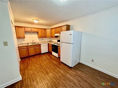 102 Lady Bird Ln unit D, San Marcos, TX 78666 - photo 4