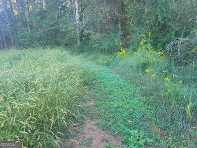 849 Booger Hollow Rd SW, Lindale, GA 30147 - photo 6