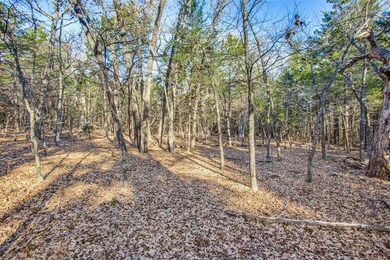 TBD9137 County Road 113, Whitesboro, TX 76273 - photo 5