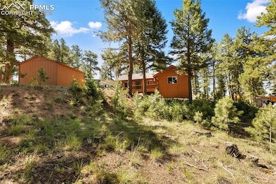 234 Wasatch Ln, Florissant, CO 80816 - photo 5