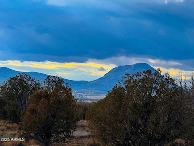 10500 W Big Moon Ln, Ash Fork, AZ 86320 - photo 3