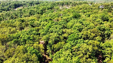 0 Gilliam Rd, Glaze Township, MO 65026 - photo 7