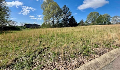 060 York Commons, Ripley, TN 38063 - photo 2