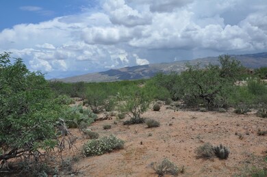 Views across home site