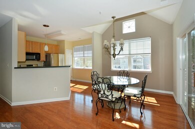 5004 Willow Branch Way unit 301, Owings Mills, MD 21117 - photo 5