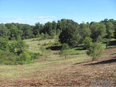 000 Dix Creek Chapel Rd, Asheville, NC 28806 - photo 2