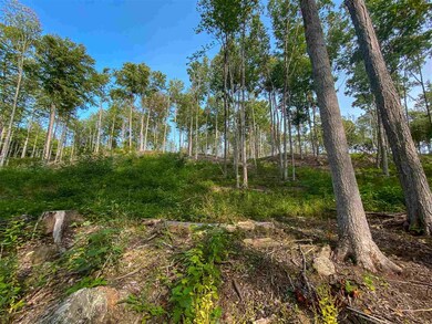 00 Hill Rd unit M:12 B10 L:B, Alstead, NH 03602 - photo 6